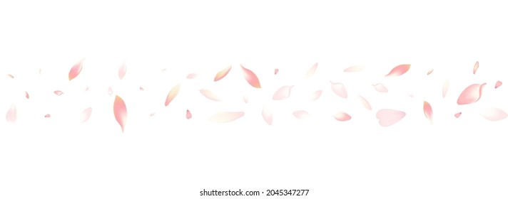 White Rose Petal Vector White Background. Pastel Aroma Apple Petal Pattern. Flower Petal 3d Illustration. Falling Peach Petal Poster.