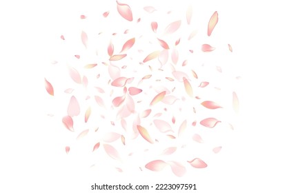 White Rose Petal Vector White Background. Pink Invitation Lotus Petal Banner. Apple Petal Springtime Congratulation. Bright Sakura Petal Card.