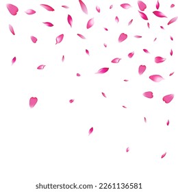 White Rose Petal Vector White Background. Color Beauty Peach Petal Texture. Sakura Petal Japanese Congratulation. Blossom Lotus Petal Banner.