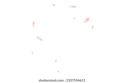 White Rose Petal Vector White Background. Pastel Floral Lotus Petal Design. Apple Petal Wallpaper Illustration. Falling Sakura Petal Product.