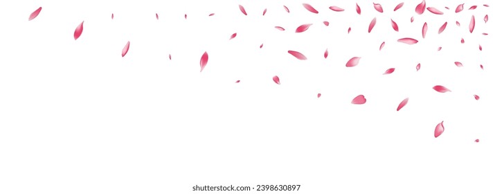 White Rose Petal Vector White Background. Pastel 3d Sakura Petal Banner. Lotus Petal Air Texture. Blossom Cherry Petal Card.
