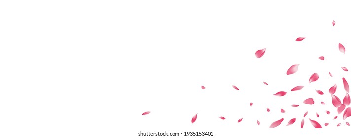 White Rose Petal Vector Panoramic Background. Pink Bright Peach Petal Cover. Cherry Petal Fly Backdrop. Beauty Lotus Petal Pattern.