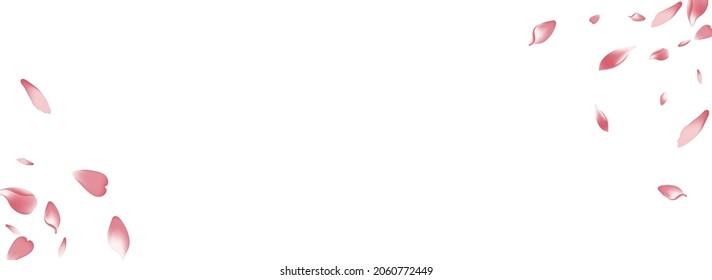 White Rose Petal Vector Panoramic Background. Pastel Fly Apple Petal Pattern. Lotus Petal Flying Illustration. Free Flower Petal Texture.