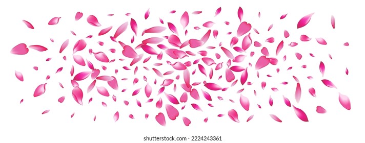 Fondo Panorámico del Vector Petal Rosa Blanco. Cartel púrpura de San Valentín Petal. Tapa moderna de Lotus Petal. Felicitaciones Petal por las flores del piso.