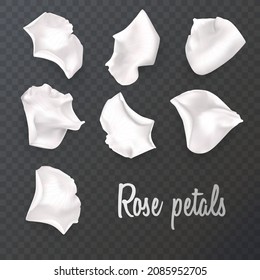 White rose petals on a transparent background and realistic rose, vector illustration