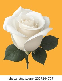 White rose realistic illustration flower 3D design