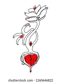 White rose rooted in the red bleeding hear. Poster line art illustration tattoo. 