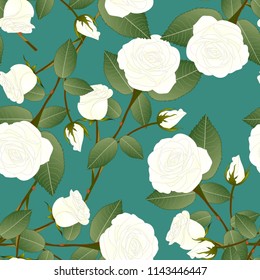 White Rose - Rosa on Green Teal Background. Valentine Day. Vector Illustration.