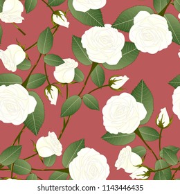 White Rose - Rosa on Red Brown Background. Valentine Day. Vector Illustration.