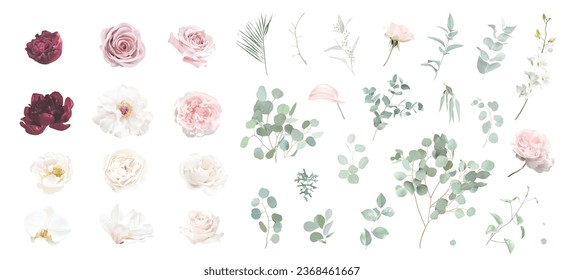 White rose and sage green eucalyptus, ivory magnolia, burgundy red peony, orchid, ranunculus flowers vector collection. Floral pastel watercolor wedding set. All elements are isolated and editable Arkivvektor