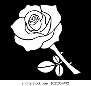 White Rose Vector With Black Background