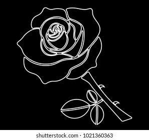 White Rose Vector on Black Background