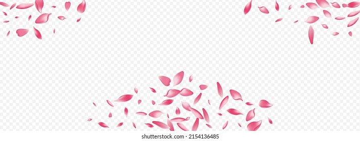 White Rose Vector Panoramic Transparent Background. Lotus Rain Card. Rosa Blow Texture. Tree Valentine Congratulation. Color Floral Air Pattern.