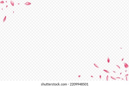 White Rose Vector Transparent Background. Cherry 3d Poster. Flower Marriage Cover. Petal Garden Template. Purple Blossom Down Backdrop.