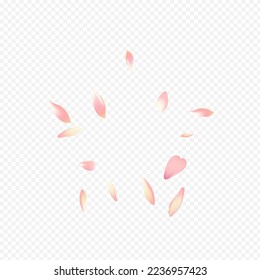 Fondo transparente del vector rosa blanco. Sakura Tender Texture. Afiche de Lotus Japan. Patrón de primavera de flores. Enhorabuena Por El Sueño Floral Brillante.