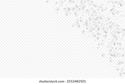 White Rose Vector Transparent Background. Gray Japanese Petal Backdrop. Falling Lotus Texture. Snowy Flower Tender Wallpaper.