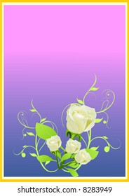White roses