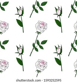 White roses and buds seamless pattern. Delicate wedding flowers on a white background. Vector stock illustration.