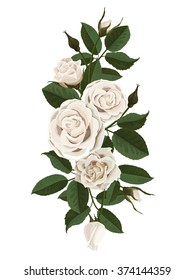 White roses flowers, buds and leaves. Vector illustration isolated on white background (there is no gradient fill and mesh).