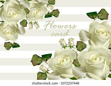 White roses flowers card Vector realistic. Beautiful floral backgrounds