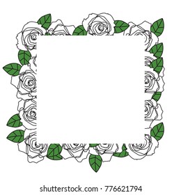 White Roses Frame