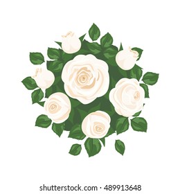 white roses on white background