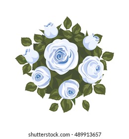 white roses a on white background