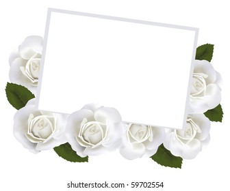 White roses and white paper card. Vector.