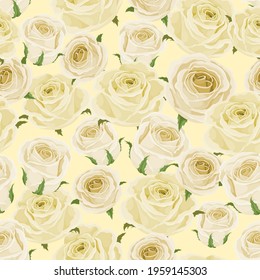 White roses seamless pattern. Bright and clear roses buds on light yellow background. best for package, flyers, wedding invitations. Vector illustration.