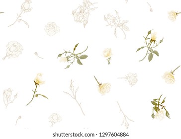 White roses seamless pattern. Isolated on white background. Colored and outline design. Vector illustration.