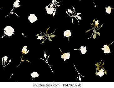 White roses seamless pattern. Isolated on black background. Colored and outline design. Vector illustration.