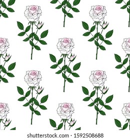 White roses seamless pattern. Luxurious wedding flowers on a white background. Vector stock illustration.
