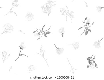 White roses seamless pattern.  On beige background. Colored and outline design. Vector illustration in monochrome gray colors