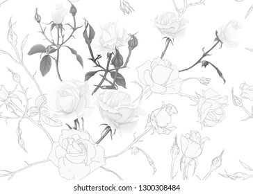 White roses seamless pattern.  On beige background. Colored and outline design. Vector illustration in monochrome gray colors