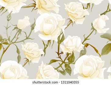 White roses seamless pattern.  On beige background. Vector illustration.