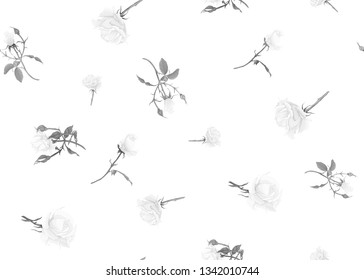 White roses seamless pattern.  On beige background. Vector illustration. In monochrome gray colors