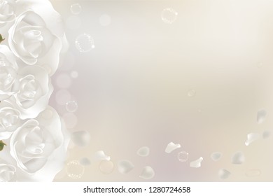 White roses, valentines concept  background for cosmetic or skin care ad, illustration vector.