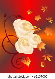 white roses - vector