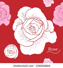 white roses vector with red background. Flower wallpaper. seamless pattern botanic.