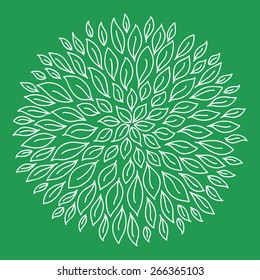 white rosette with leaves on green background
