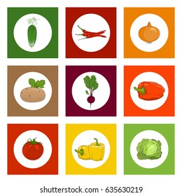 White Round Icons Vegetables on Colorful Background, Cucumber and Pepper , Onion and Tomato, Cabbage and Sweet Peppers, Beetroot and Potato, Vector Illustration 