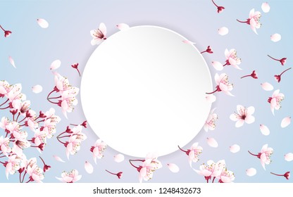 White round paper for copy space with flying and falling cherry blossom flowers on sweet color background. Vector illustration.