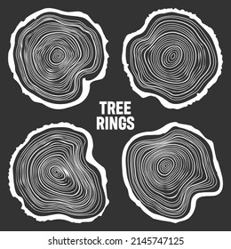 White round tree trunk cuts, sawn pine or oak slices, lumber. Saw cut timber, wood. Wooden texture with tree rings. Hand drawn sketch. Vector illustration