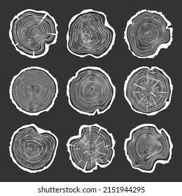 White round tree trunk cuts with cracks, sawn pine or oak slices, lumber. Saw cut timber, wood. Wooden texture with tree rings. Hand drawn sketch. Vector illustration