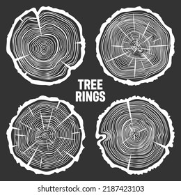 Cortes de tronco de árbol blanco redondo con grietas, rodajas de pino aserrado o roble, madera. Vi madera cortada, madera. Textura de madera con anillos de árbol. Esbozo dibujado a mano. Ilustración del vector