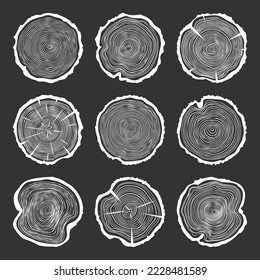 White round tree trunk cuts with cracks, sawn pine or oak slices, lumber. Saw cut timber, wood. Wooden texture with tree rings. Hand drawn sketch. Vector illustration