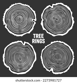 White round tree trunk cuts, sawn pine or oak slices, lumber. Saw cut timber, wood. Wooden texture with tree rings. Hand drawn sketch. Vector illustration