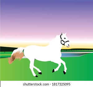 White running horse vector with a beautiful background