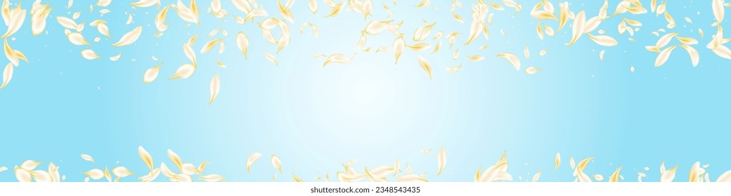 White Sakura Fall Vector Panoramic Blue Background. Light Falling Blossom Poster. Beige Lotus Summer Template. Yellow Rose Fly Frame. Japanese Flower Design.