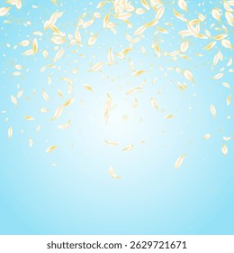White Sakura Fly Vector Blue Background. Delicate Summer Lotus Illustration. Yellow Petal Japanese Backdrop. Beige Floral Flying Design. Japan Cherry Wallpaper.